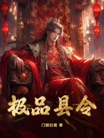 《极品县令》