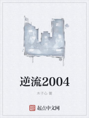 《逆流2004》