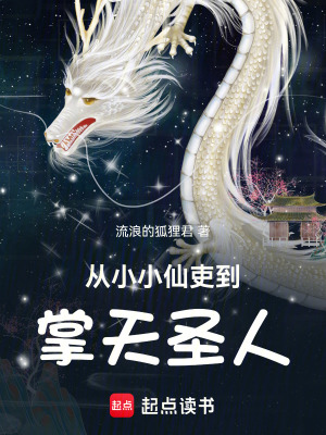 《从小小仙吏到掌天圣人》