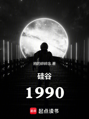 《硅谷1990》