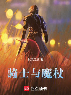 《骑士与魔杖》