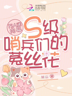 《万人迷向导：S级哨兵们的菟丝花》