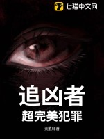 《追凶者：超完美犯罪》