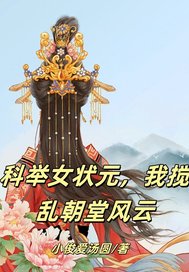 《科举女状元，我搅乱朝堂风》