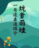 《一号追妻通缉令：坑爹萌娃》