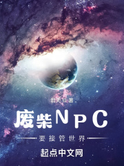 《废柴NPC要接管世界》