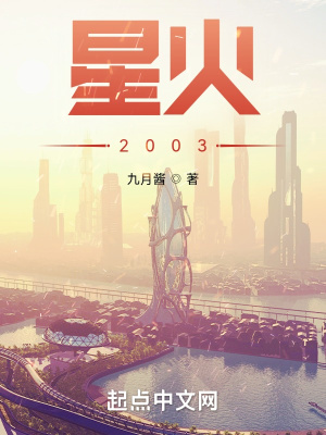 《星火2003》